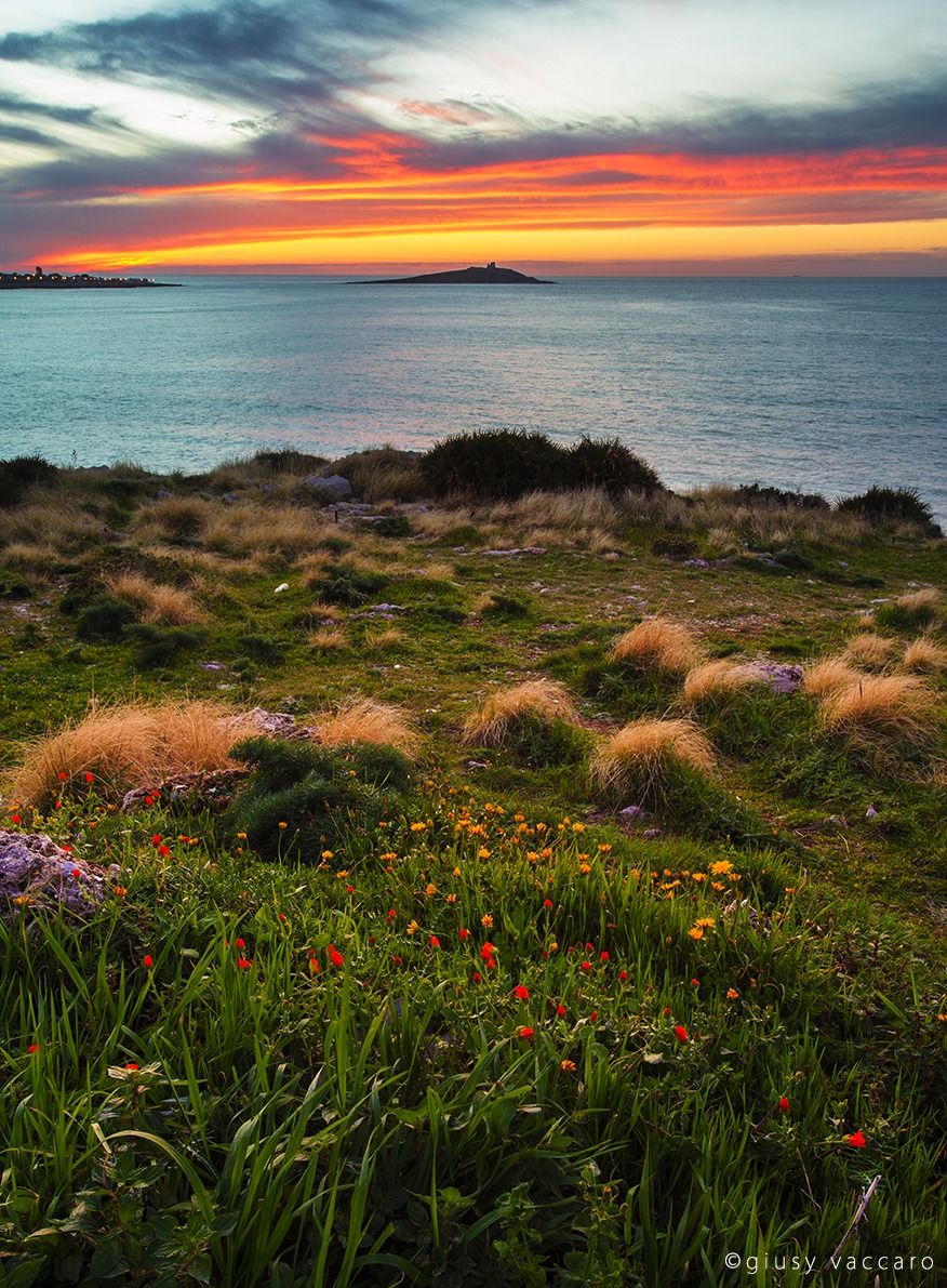 Un'esplosione di colori