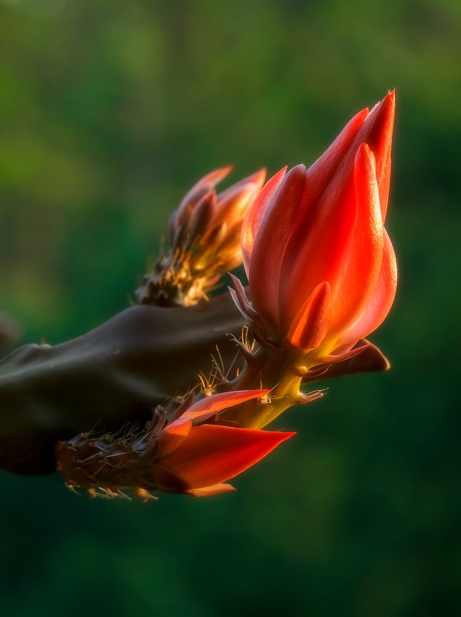 BAciati dai primi tramonti primaverili