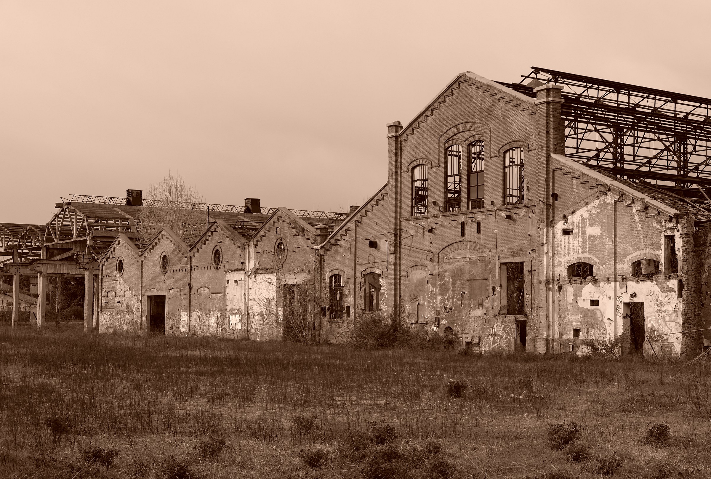 Ex Industries Tempini Togni-1