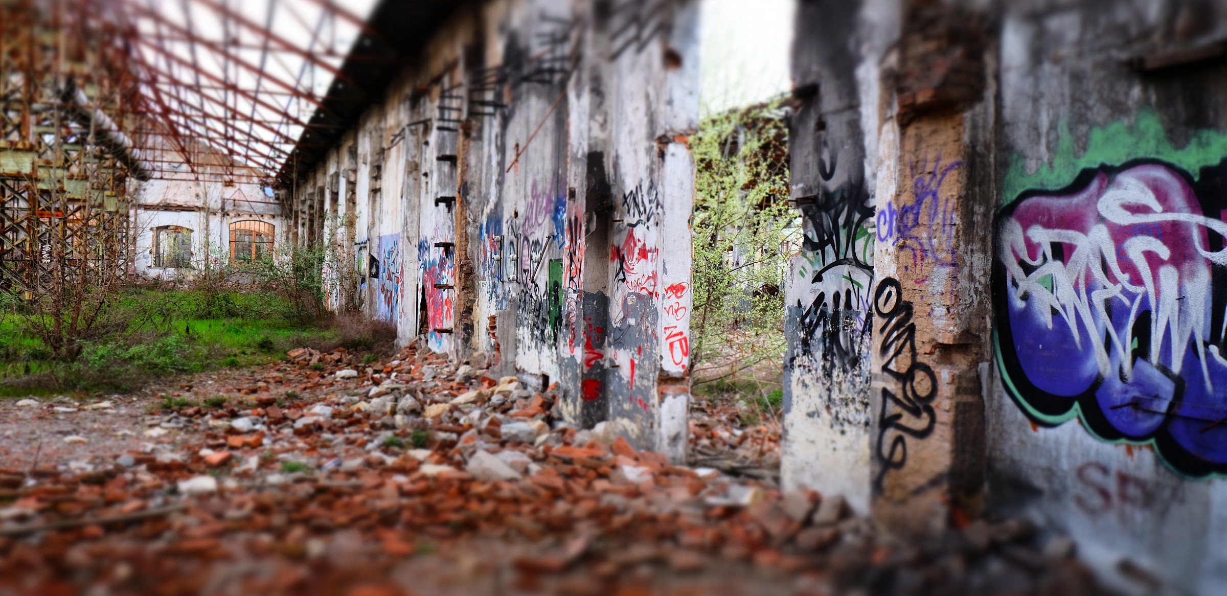 Ex Industries Tempini Togni-5