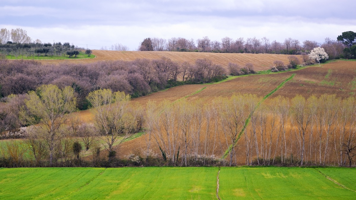 Preparativi di Primavera
