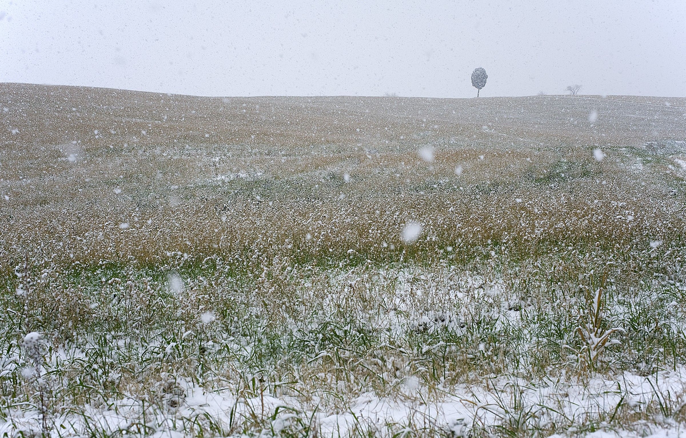flakes .. countryside