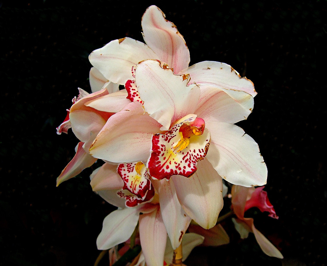 L'incedere del tempo