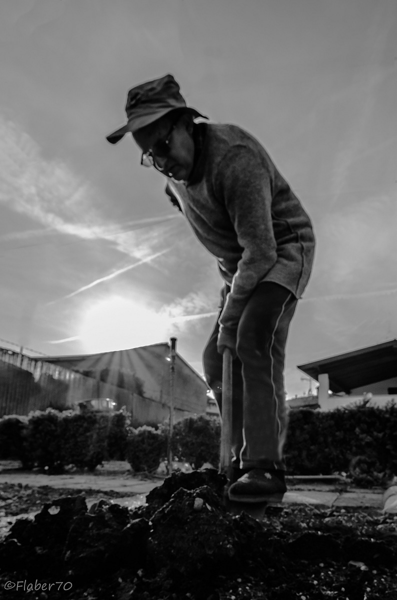 i grandi lavori di papà !!