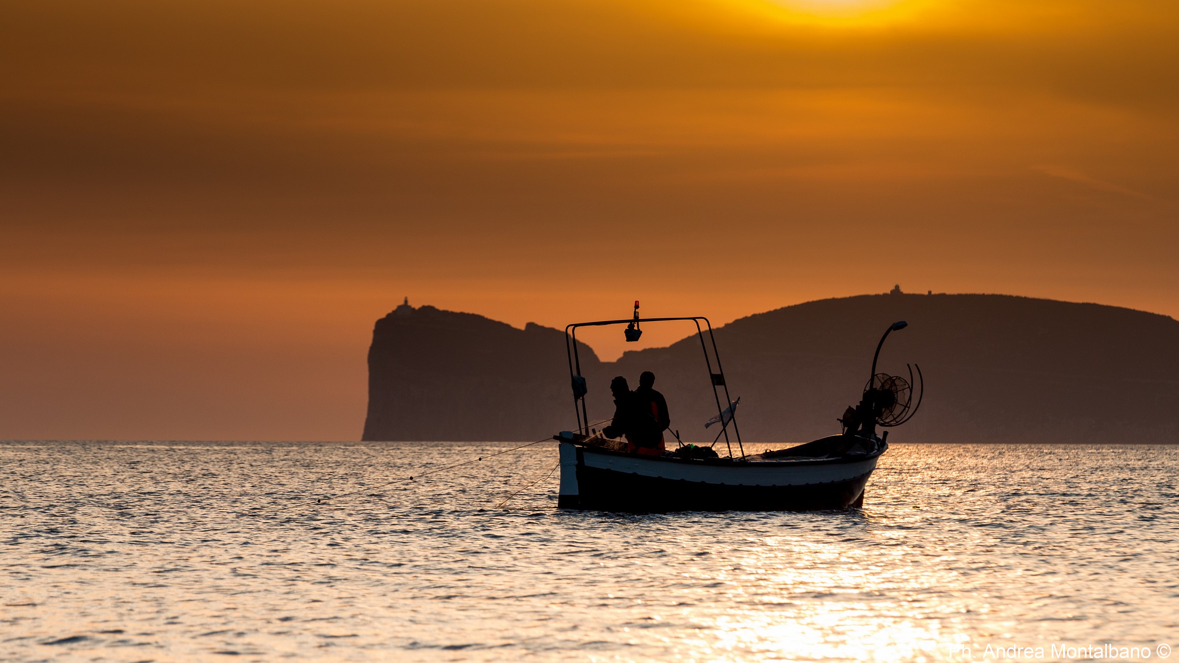 the collection of networks