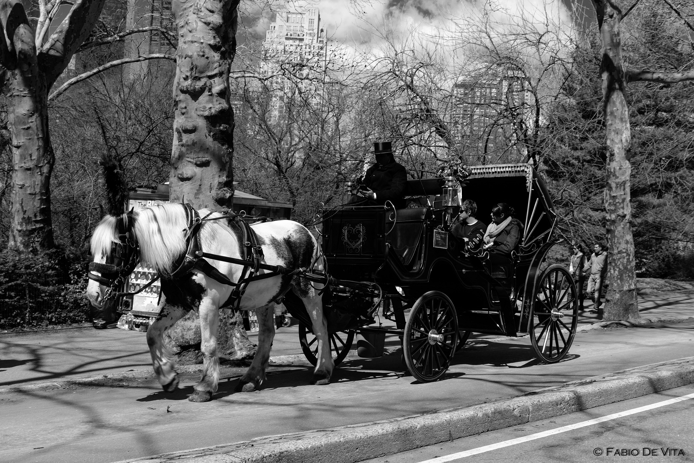 The return to the roots