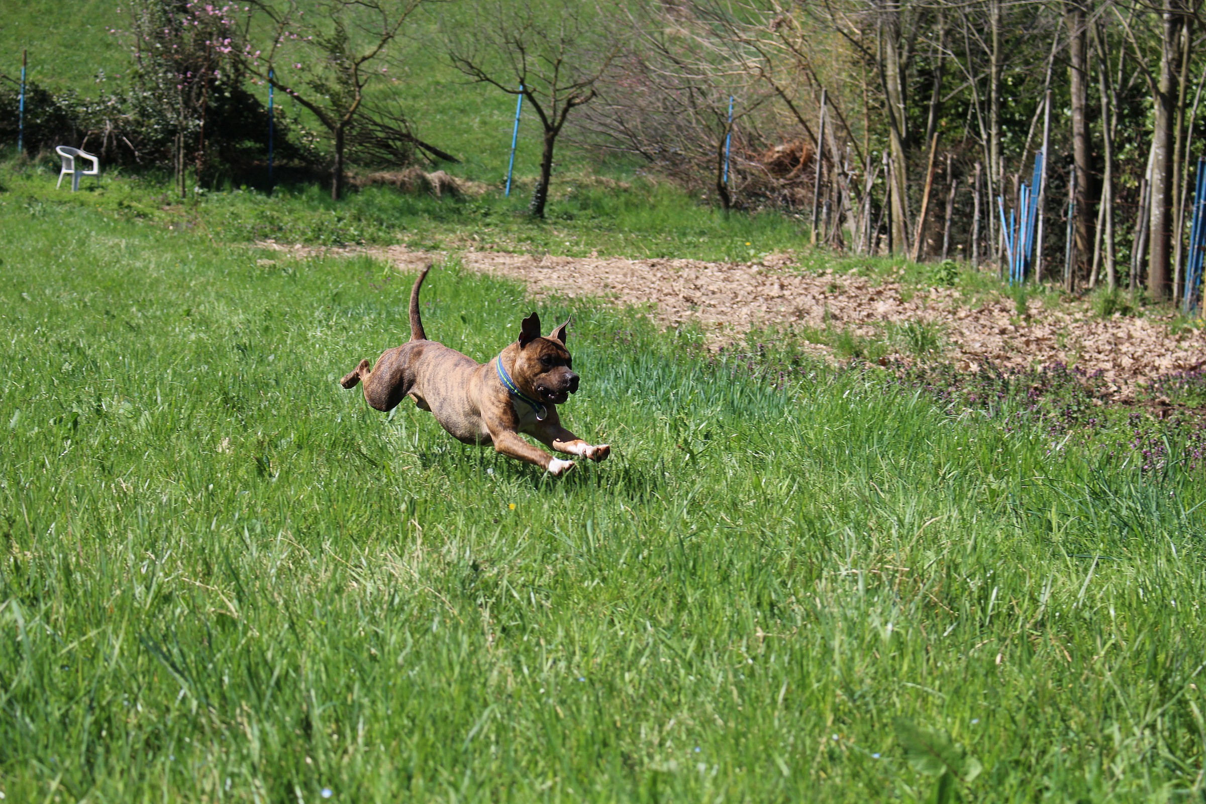 Little Hukleberry fun time 2