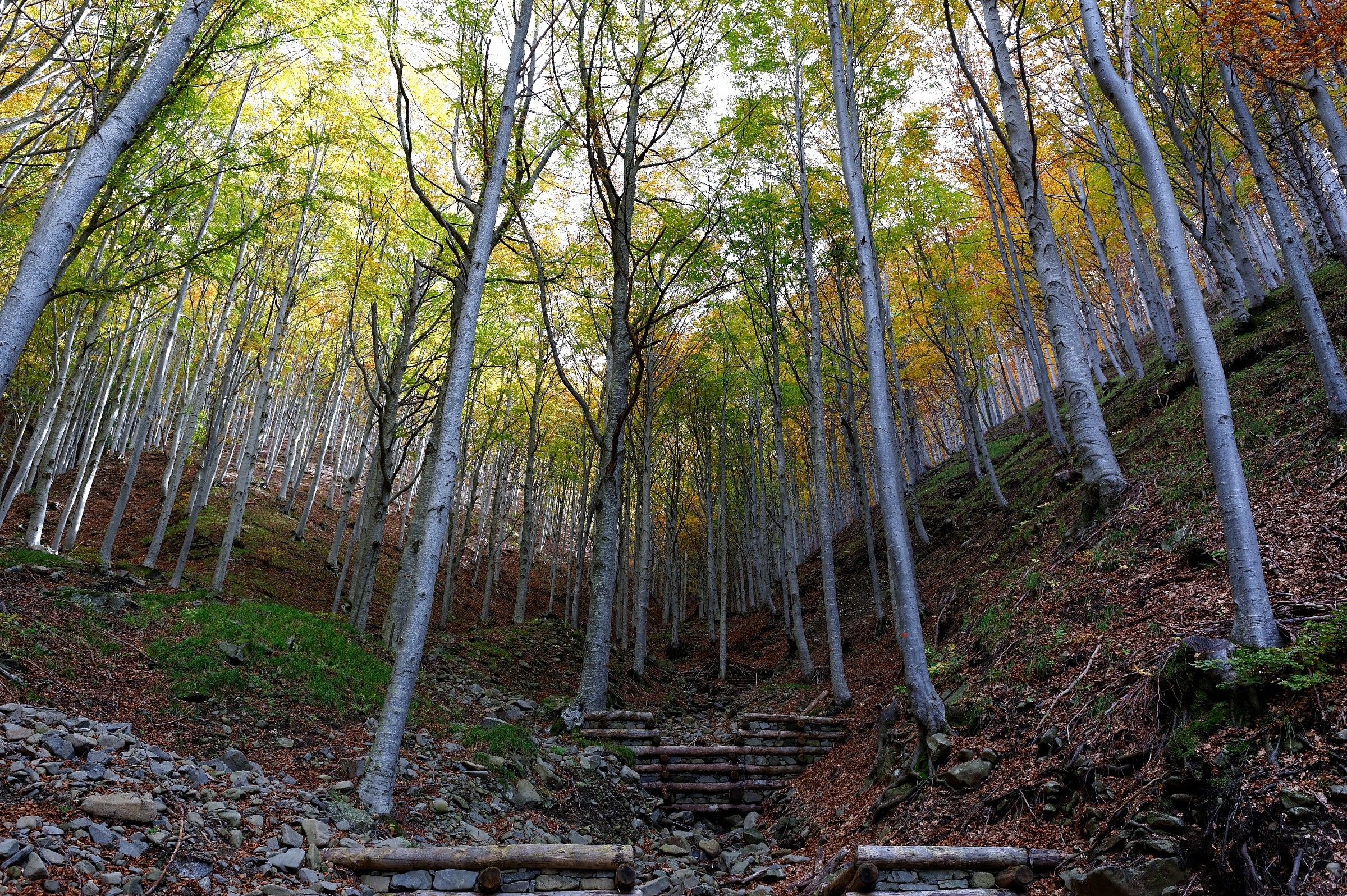 Parco dell'Orecchiella