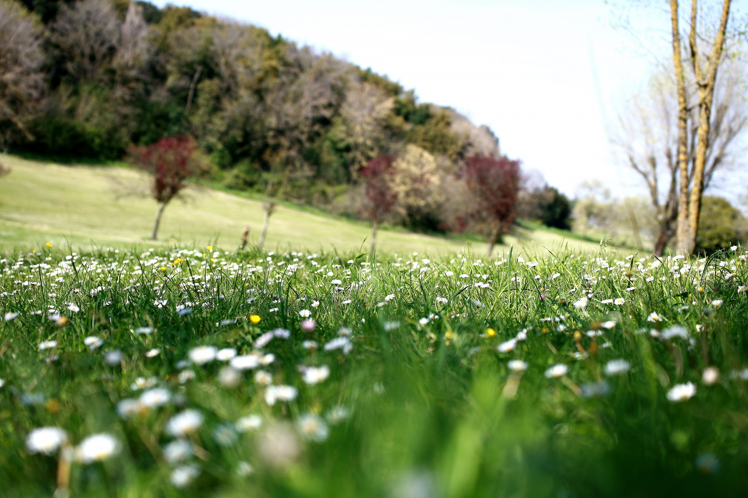 Ora, raddrizza la testa!!