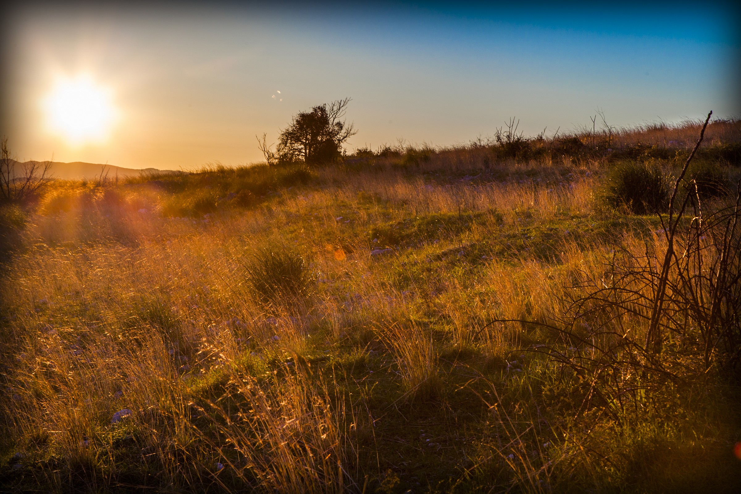 Al Tramonto di Pignataro