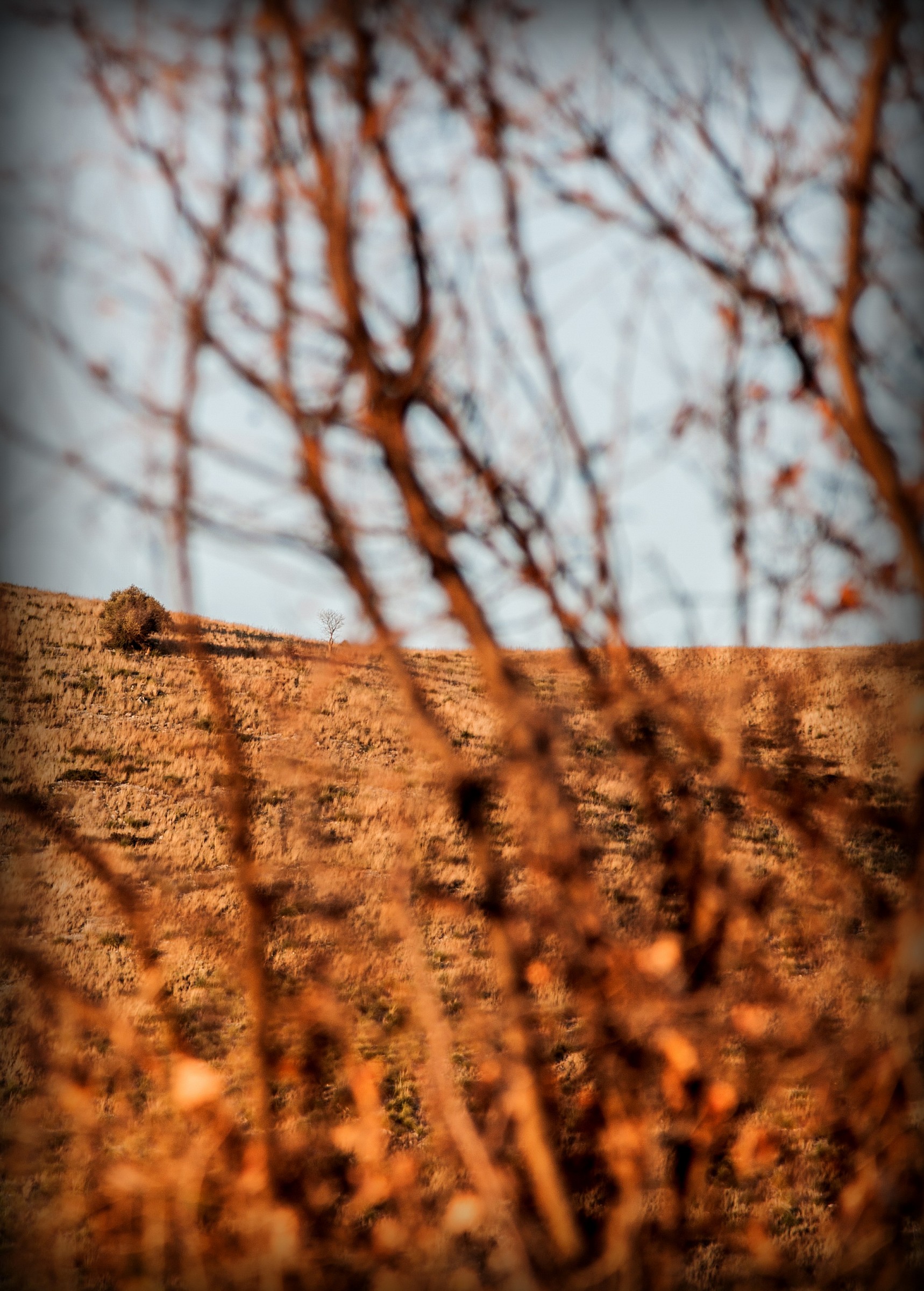 Al Tramonto di Pignataro