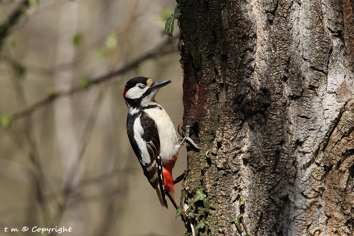 Salgo ad occhi chiusi