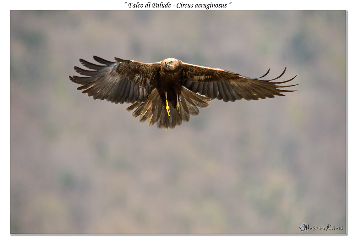 Stop...................