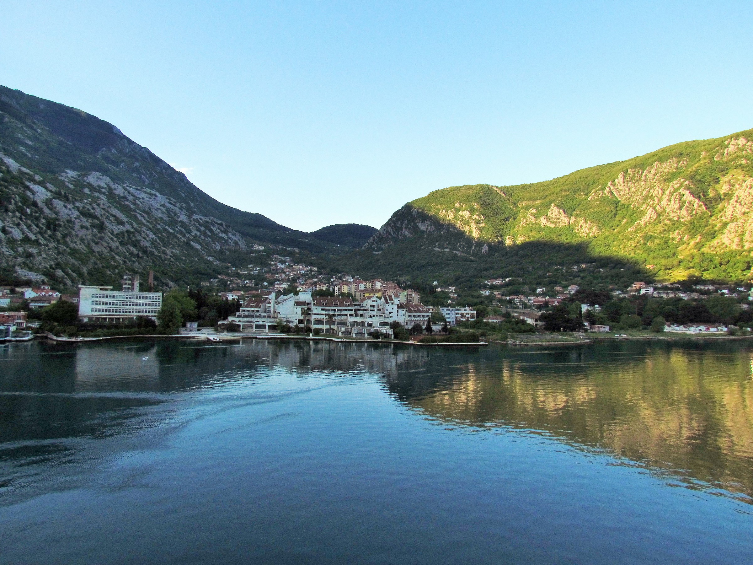 Kotor