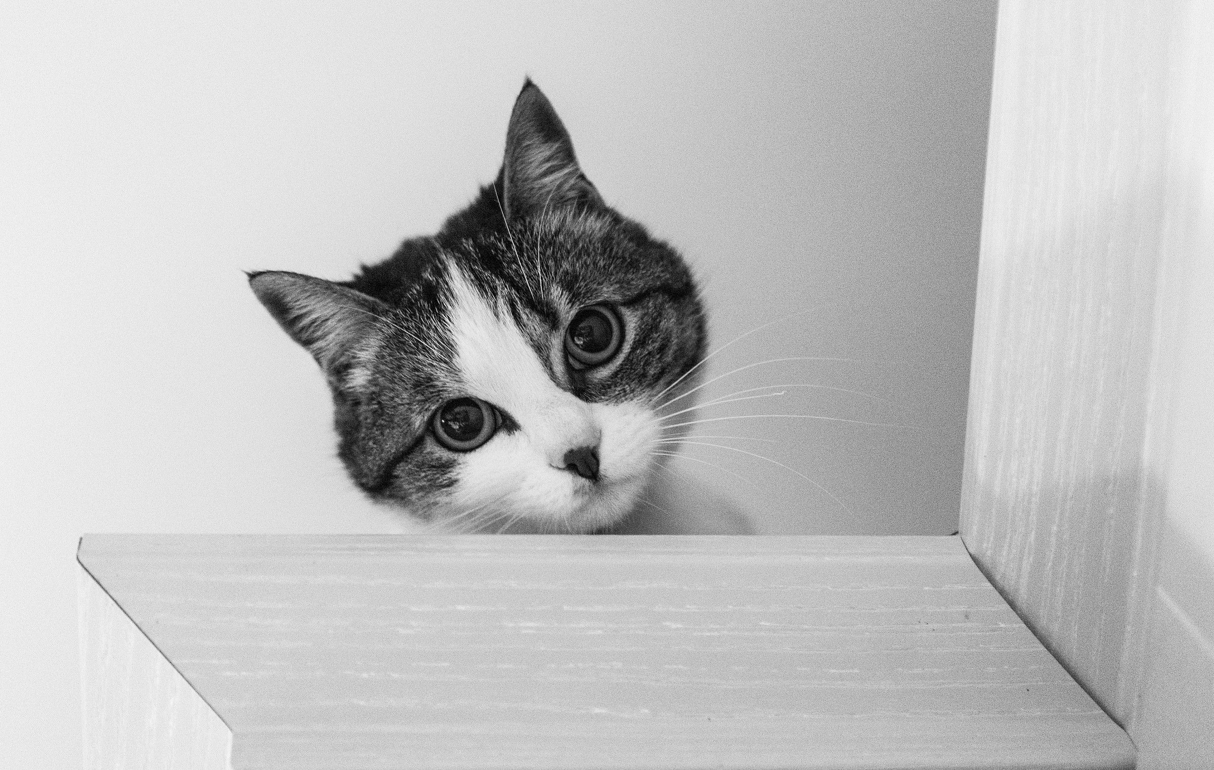 What do you have to watch