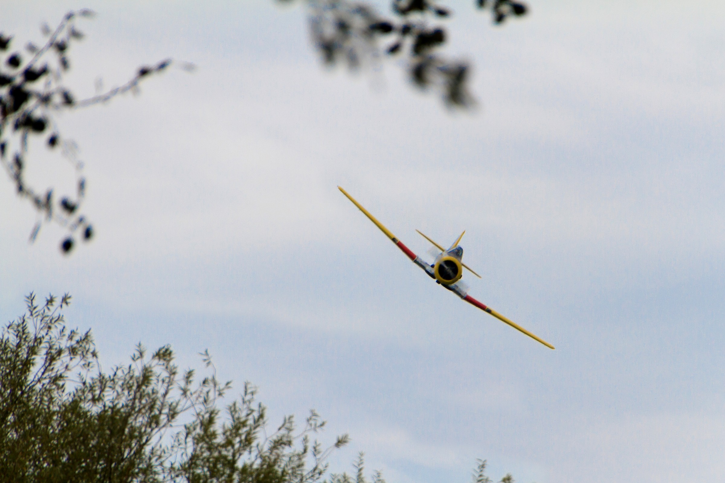 Caccia in avvicinamento