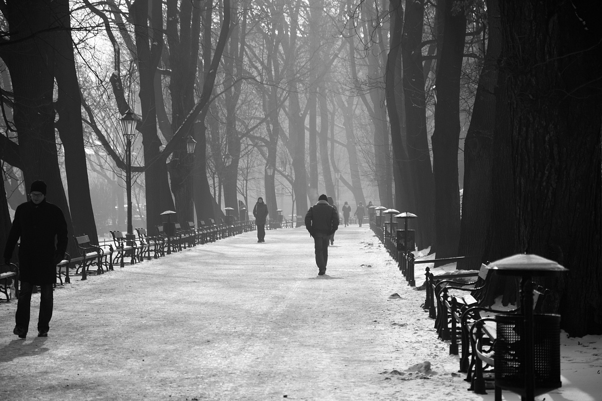 Nikon D3100 - Nikon AF-S DX 18-105mm f/3.5-5.6 G ED VR