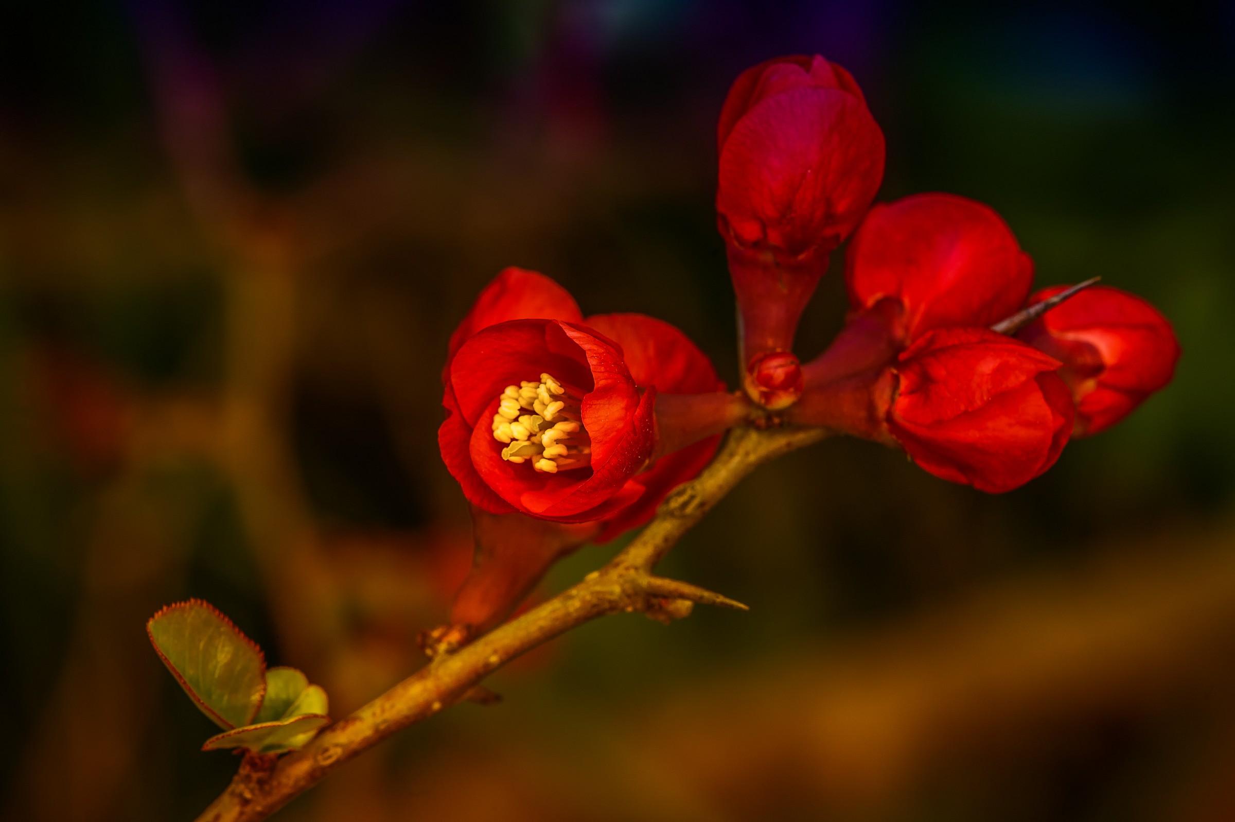 Passeggiando a Villa Pamphili ( Roma)