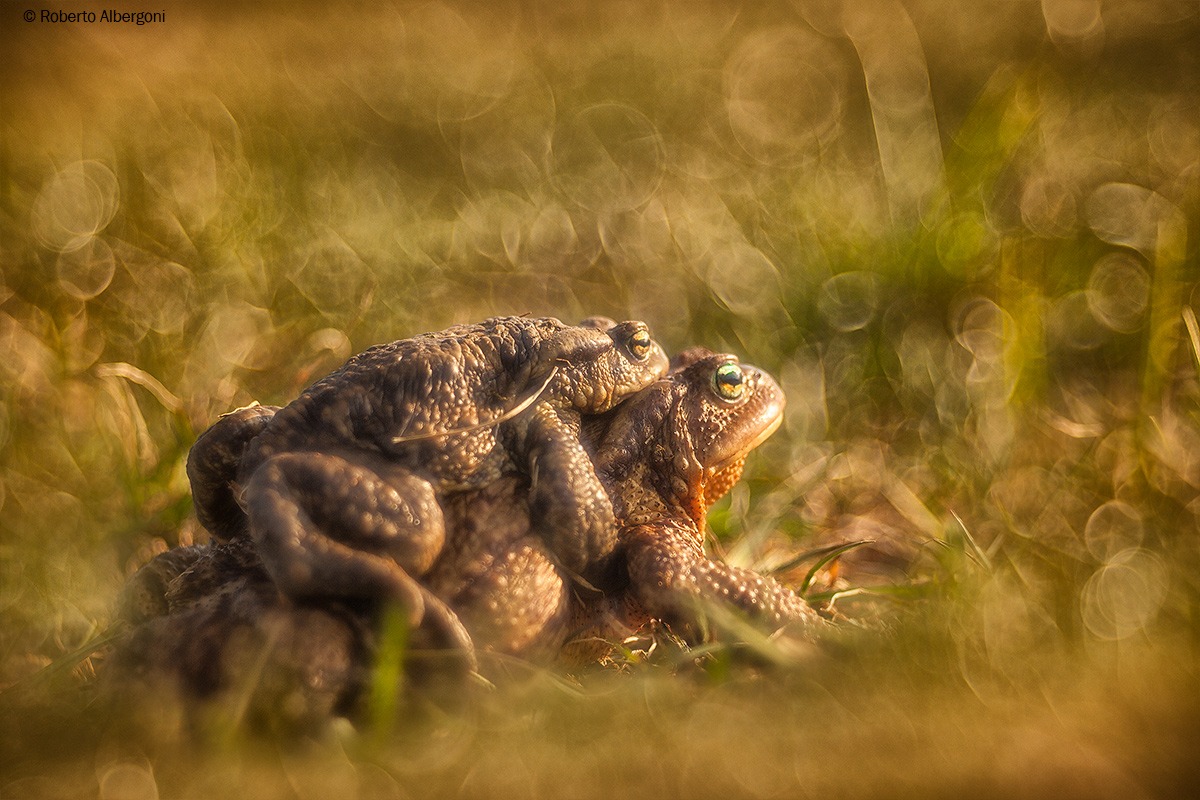 Uno sguardo al futuro