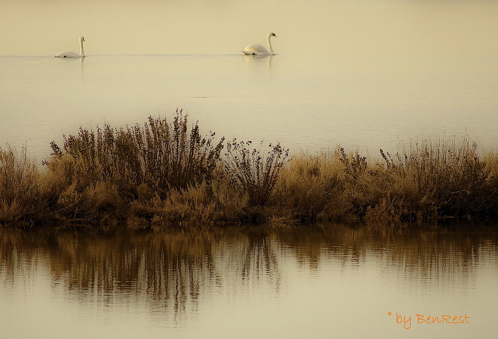 Passeggiando in laguna