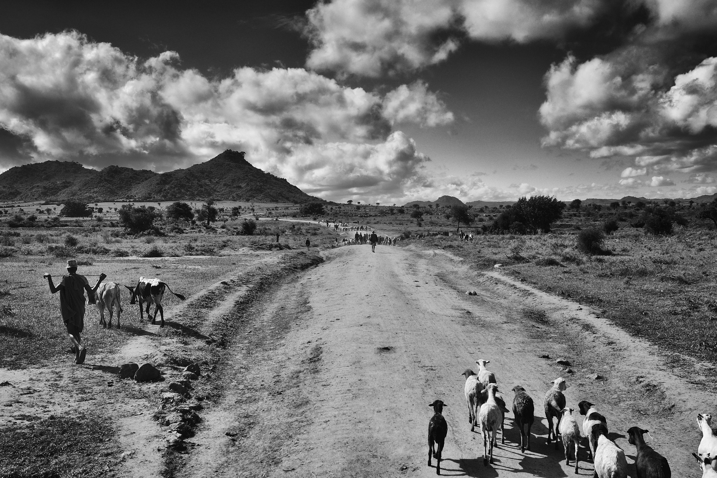 Reoprtage Karamoja - (awaiting publication)