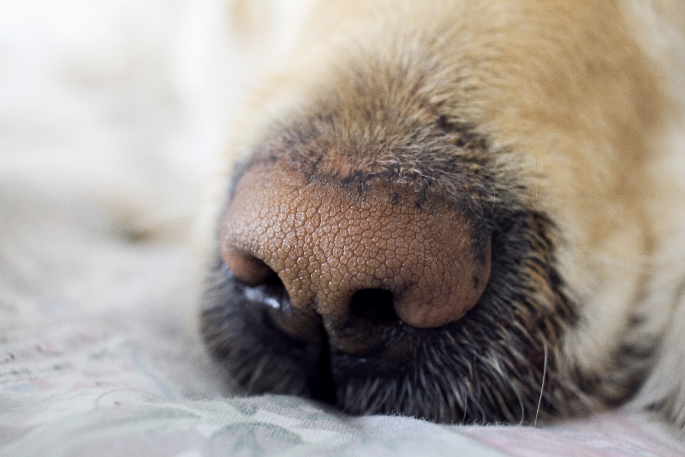 What makes life better