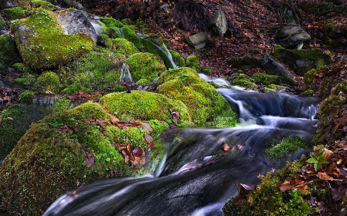 Rio Torlo Appennino Reggiano