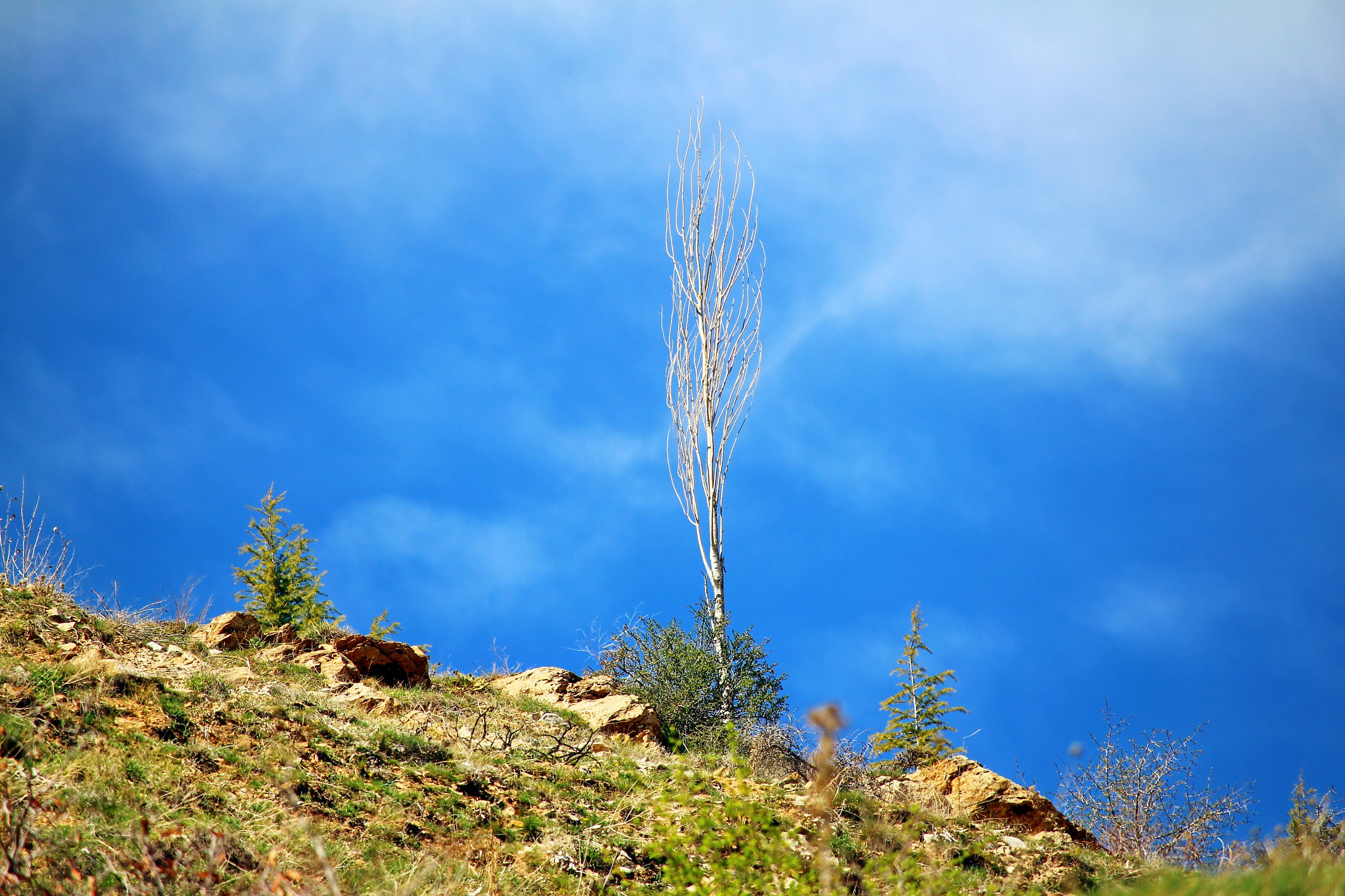 kurdistan Sanandaj Abidar