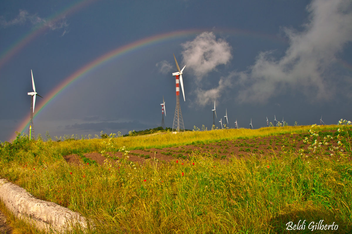Pale eoliche (Colline di Avigliano)