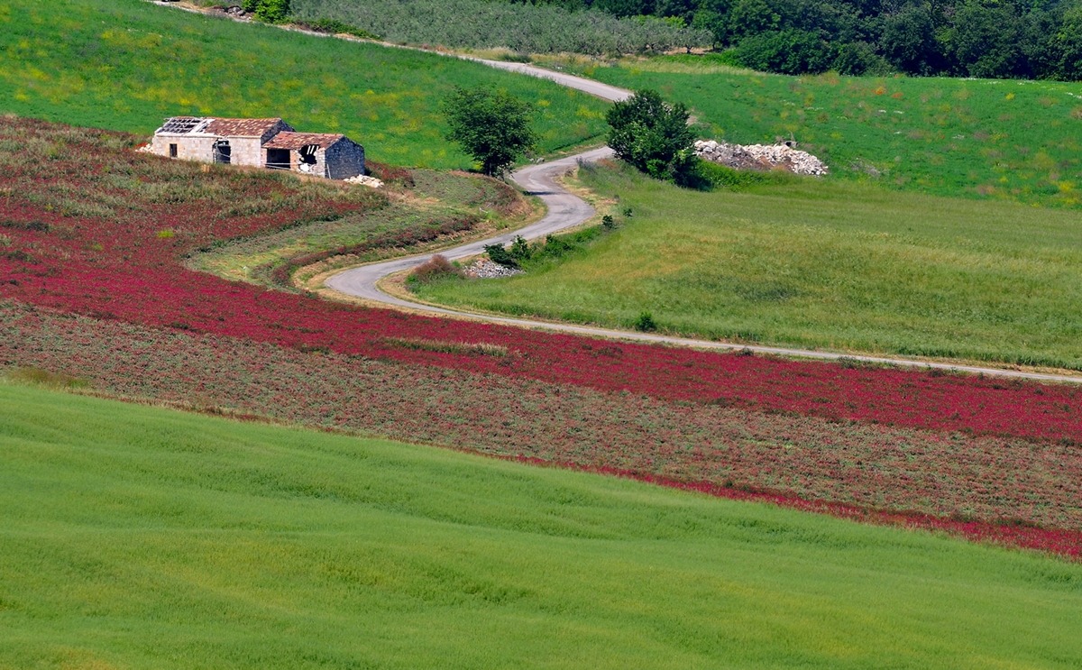 Vendesi,ampia Vista Panoramica