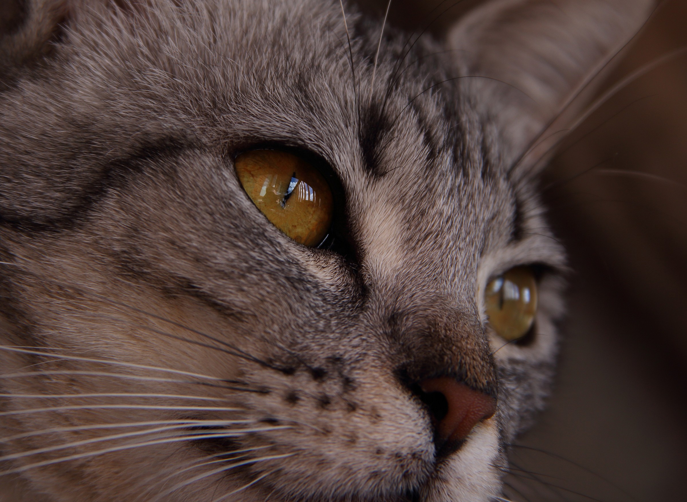 Lost In His Thoughts