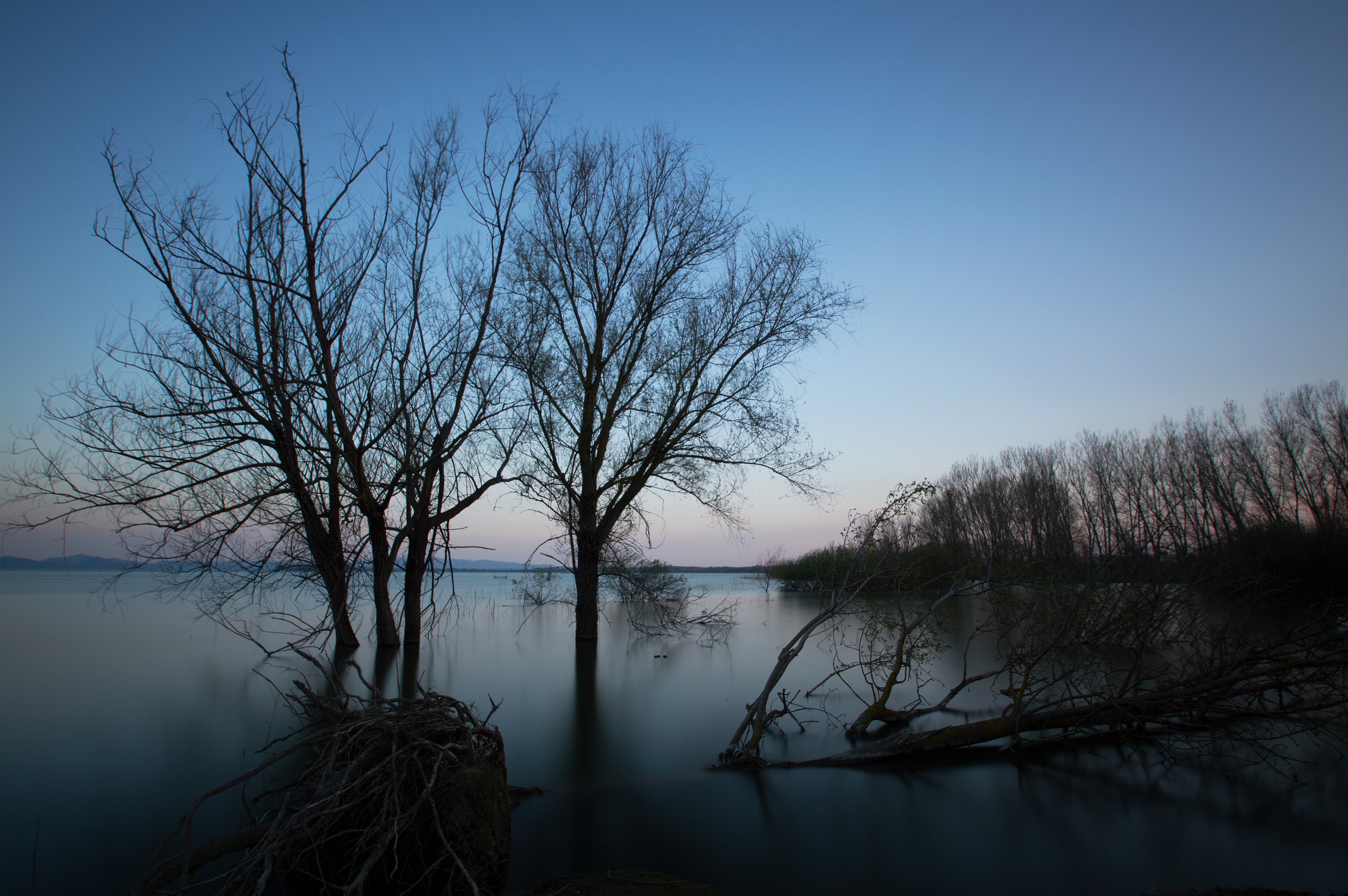 La quiete dopo la tempesta