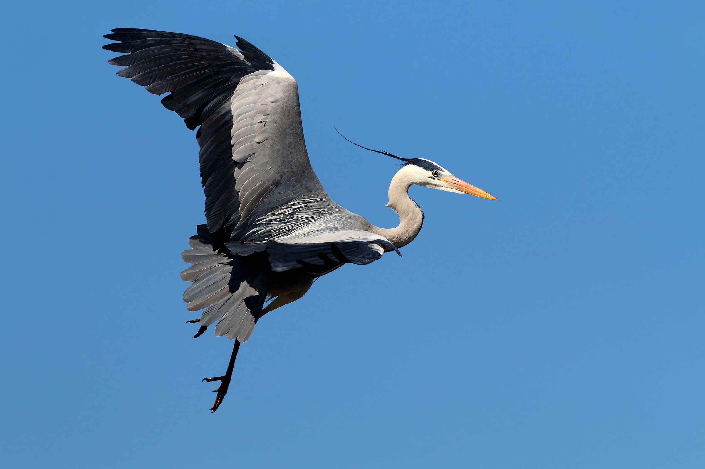 At the mercy of the wind