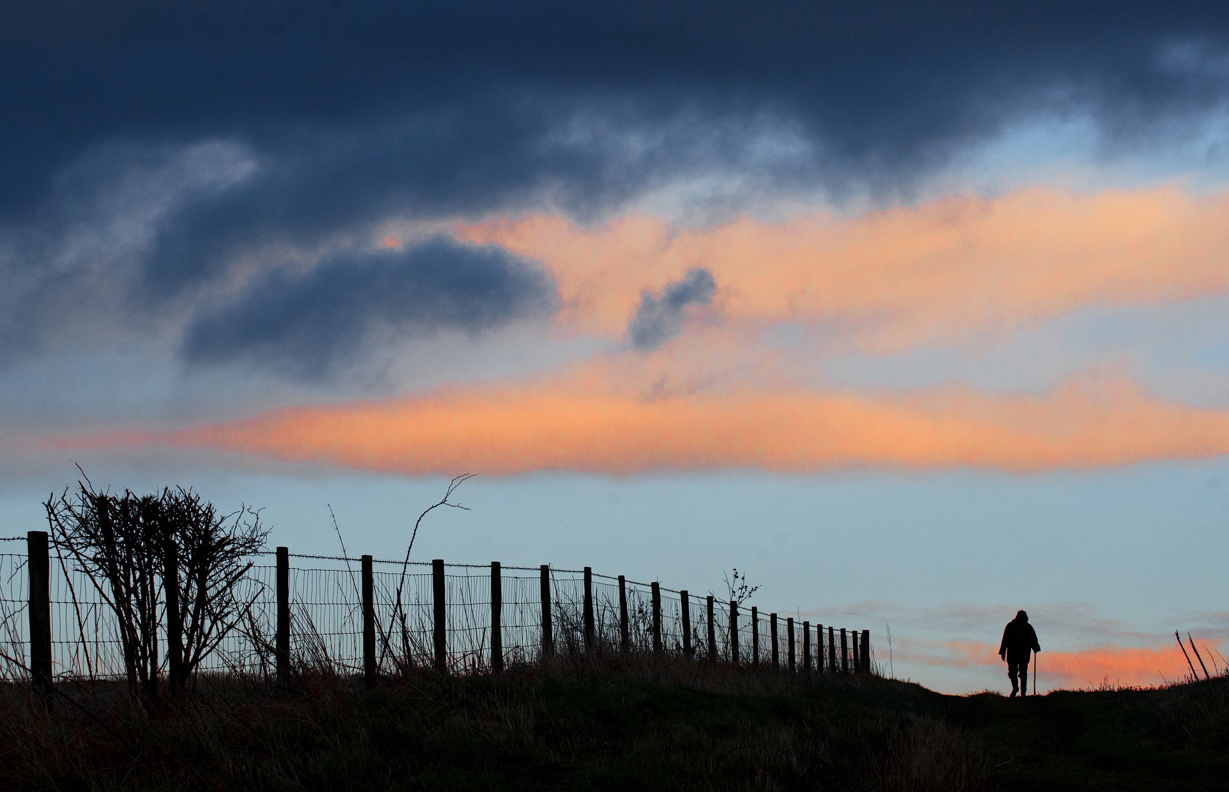 Anziani Country Walker