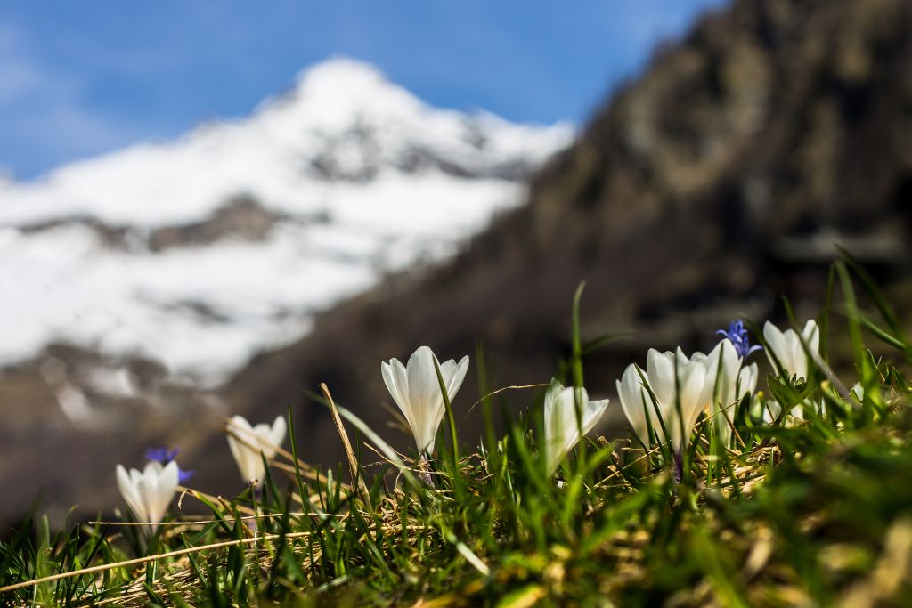 Tra l'inverno e la primavera  ad Alagna Valsesia