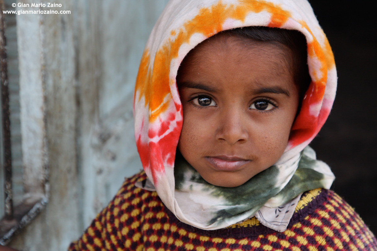 India - Rajasthan 2007/2008