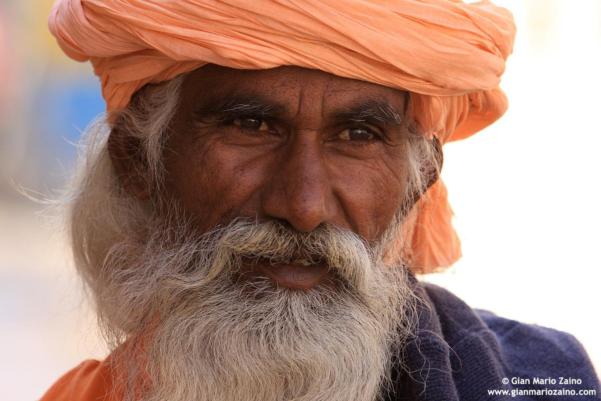 India - Rajasthan 2007/2008