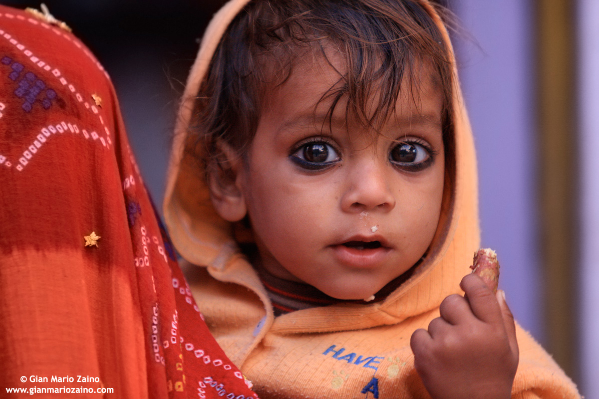 India - Rajastan 2007/2008