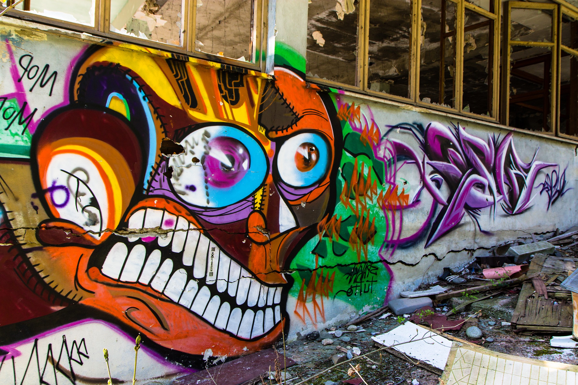 Uno sguardo verso il futuro