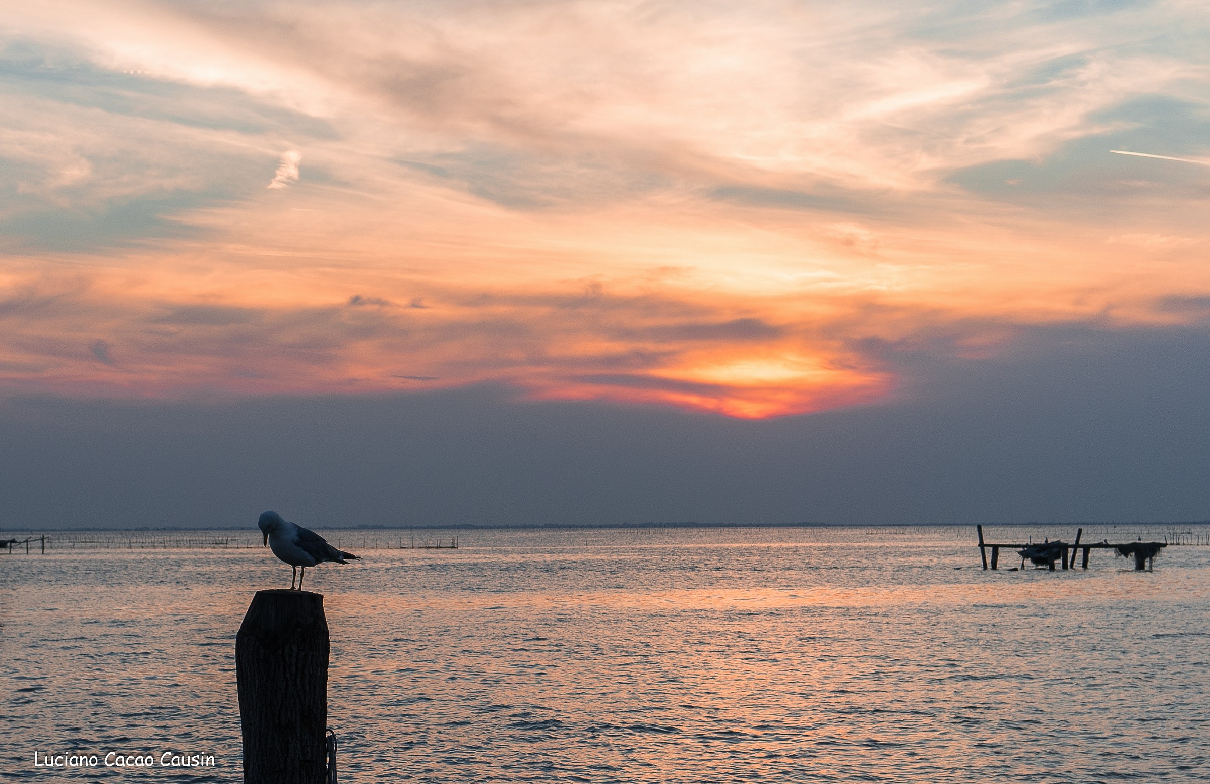 Laguna Pellestrina Venice