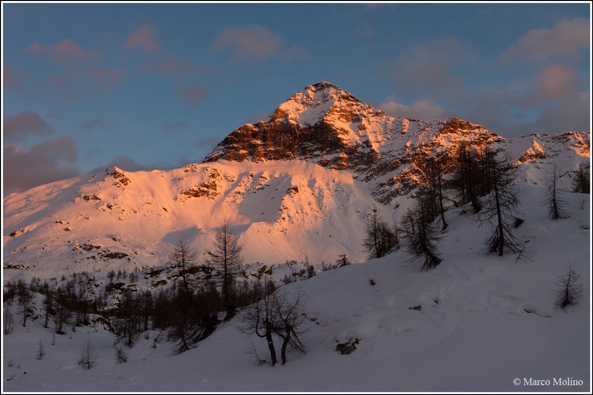 Valmalenco - Pizzo Steps