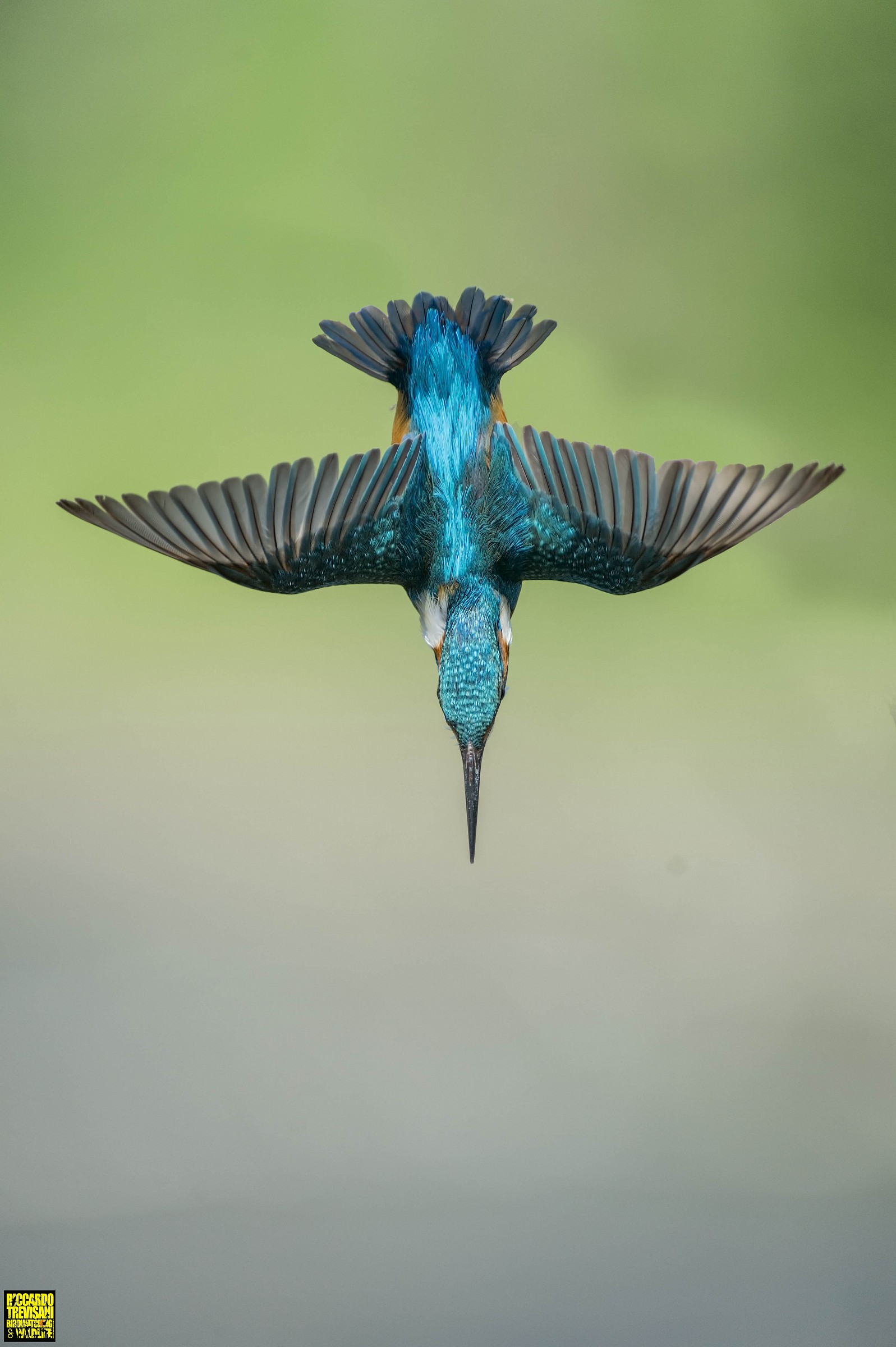 the best of aerobatic