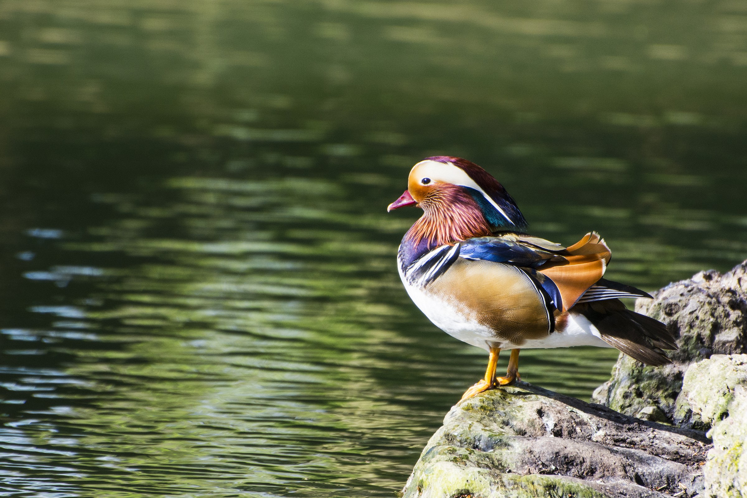 tutto sotto controllo