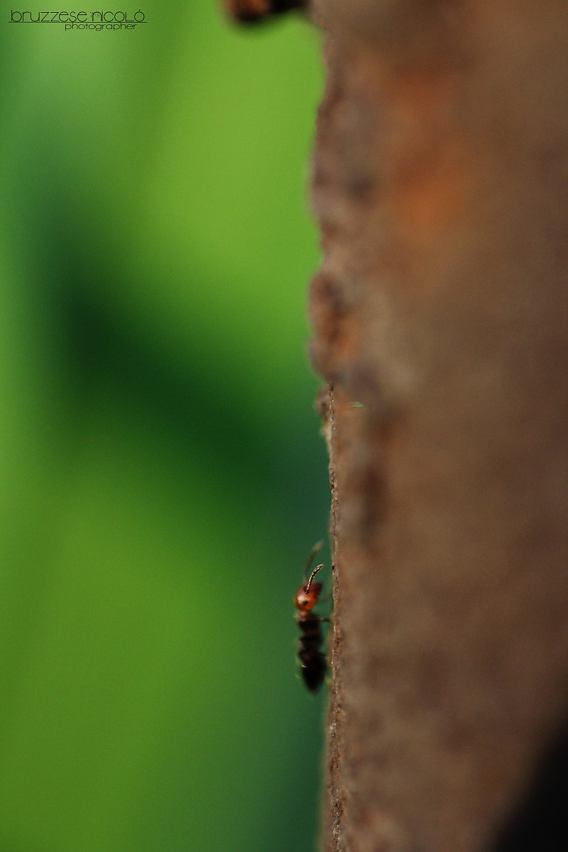 Crack from the small world ..