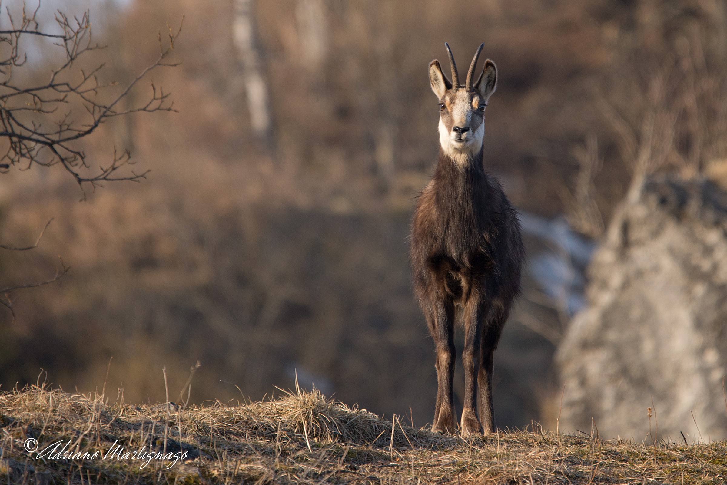 Here you do not pass