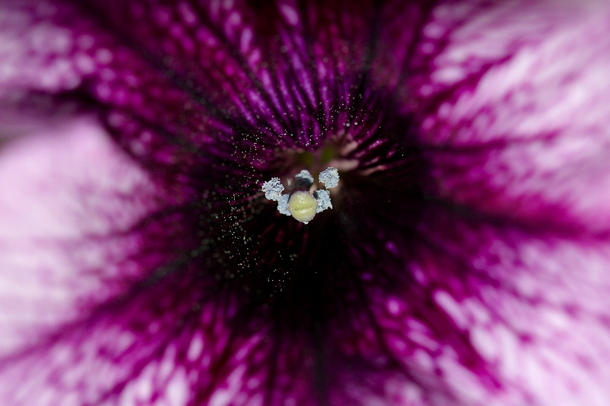 Negli occhi di Madre Natura