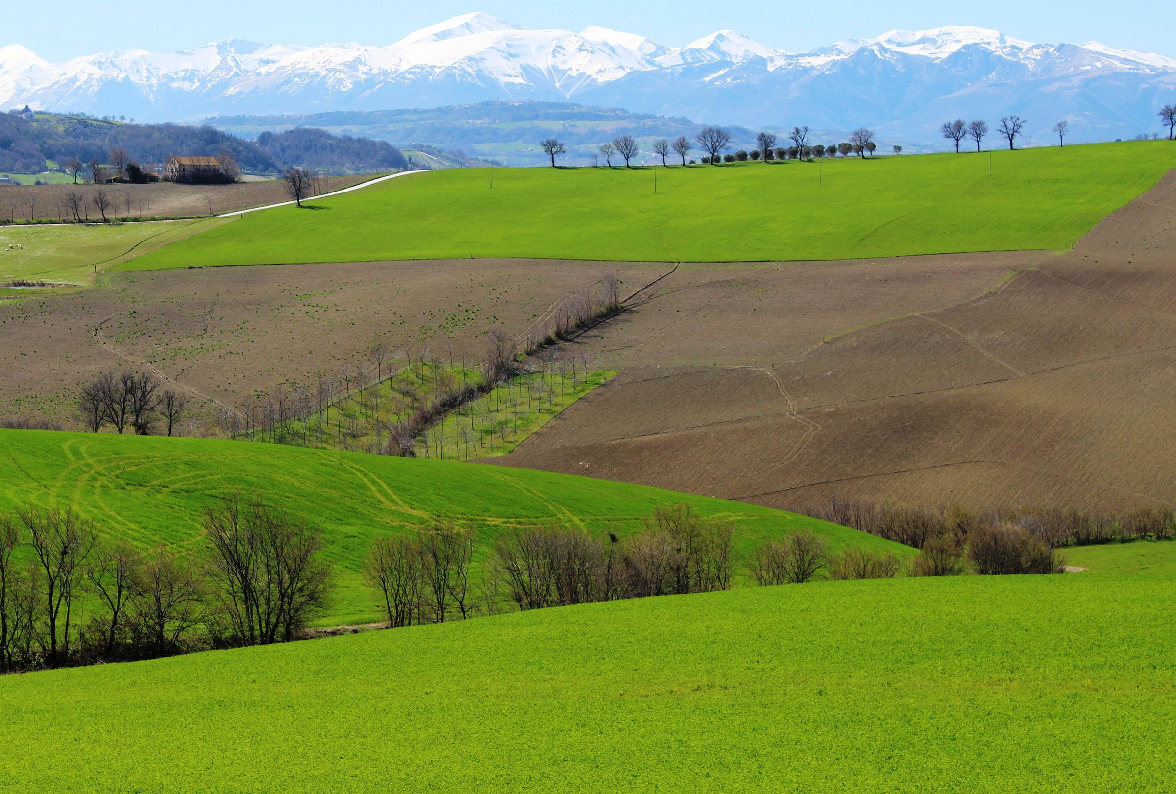 Geometries of the Hills Marche ...