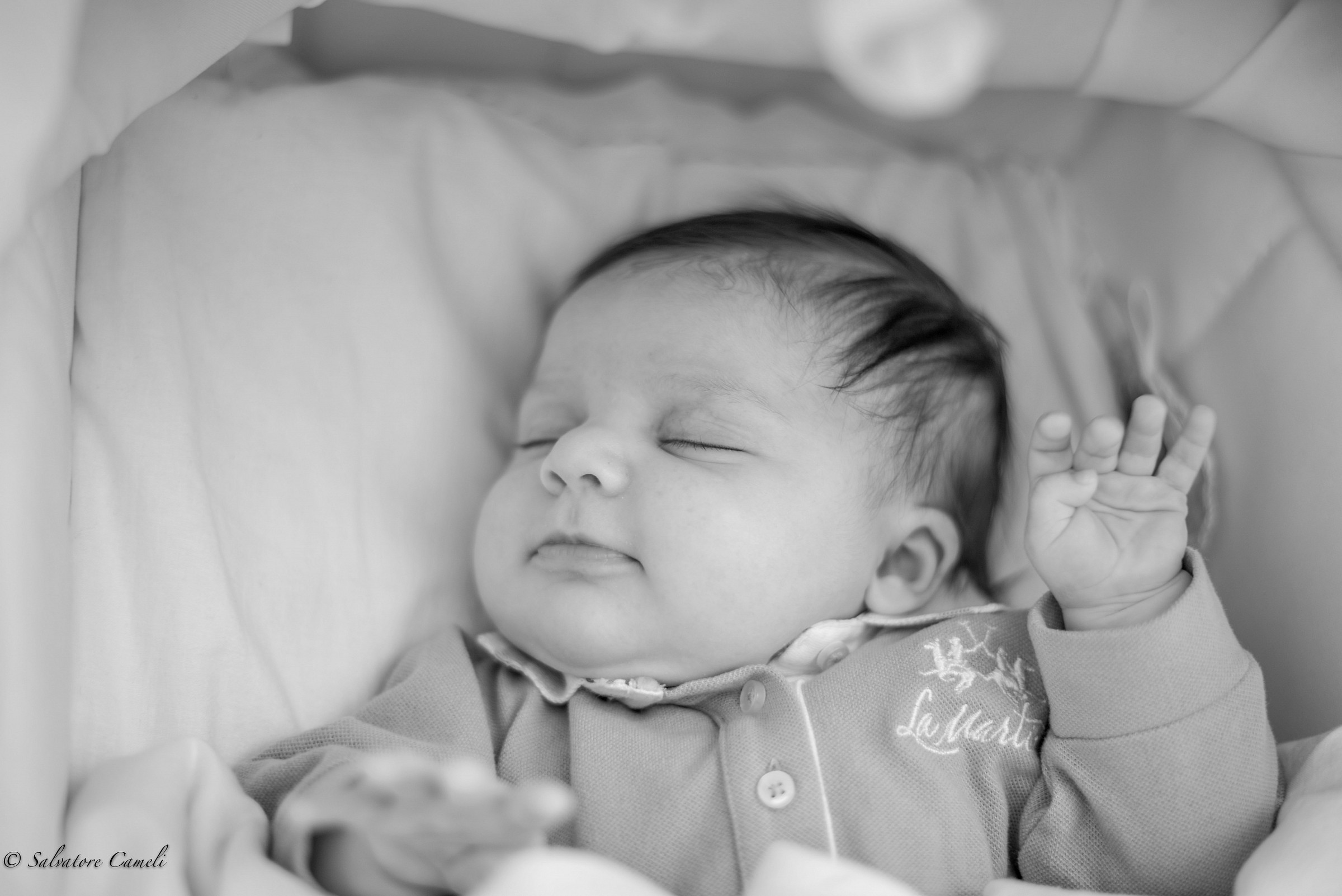 proprio un bel pisolino...