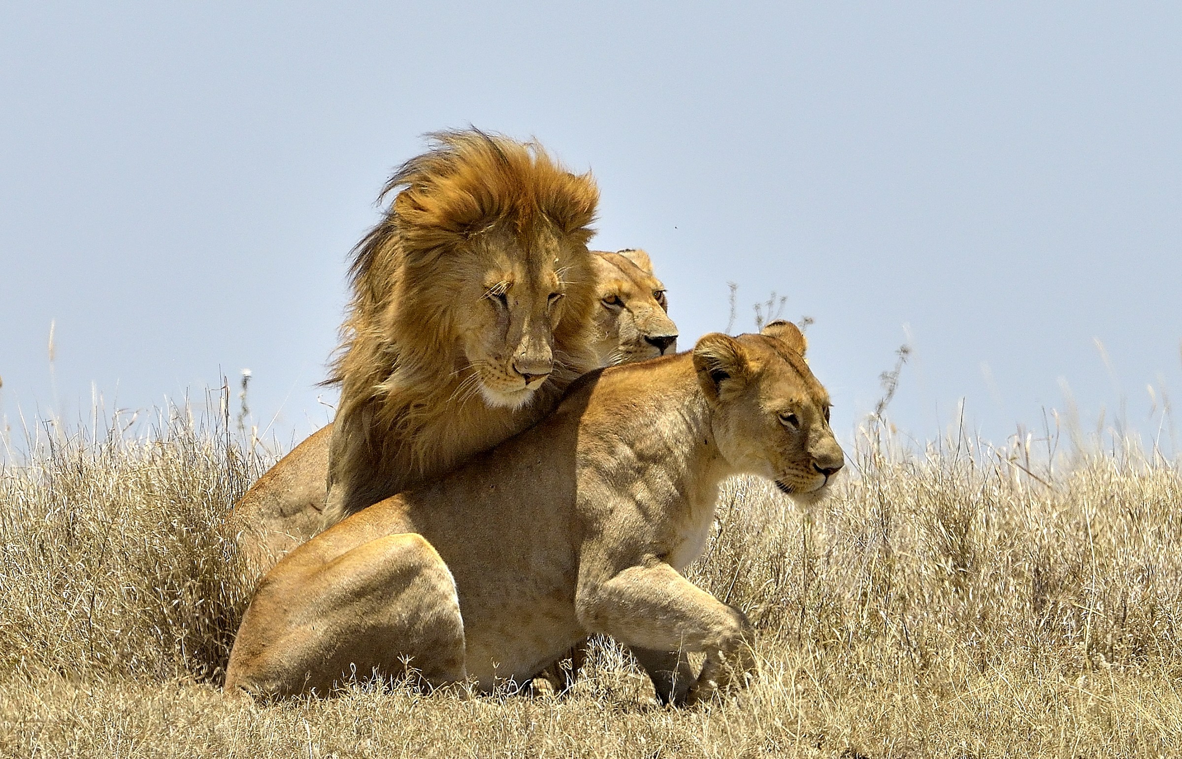 Tanzania 2015 - Ammucchiata