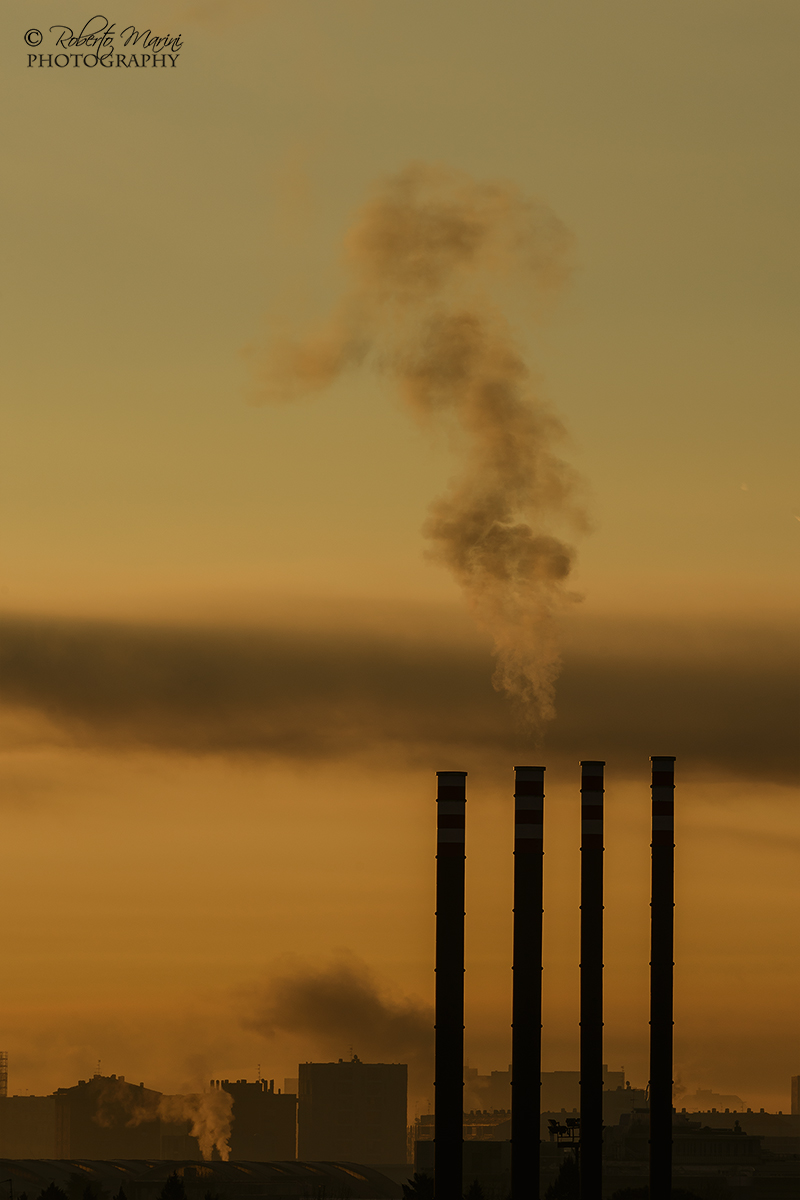 tribute to pink floyd